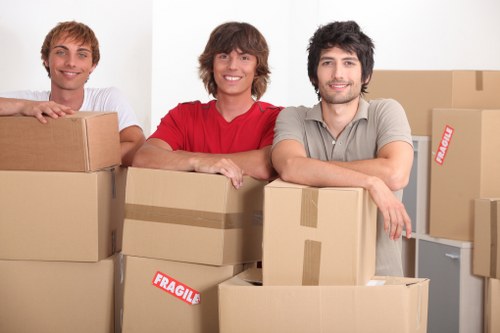 Storage-ready packed boxes and protective materials for Chelsea customers